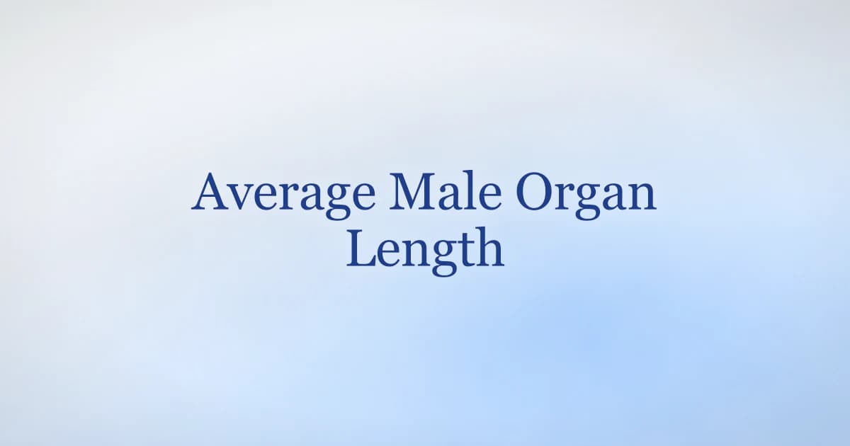 Average Length of a Male Organ: The Real Data