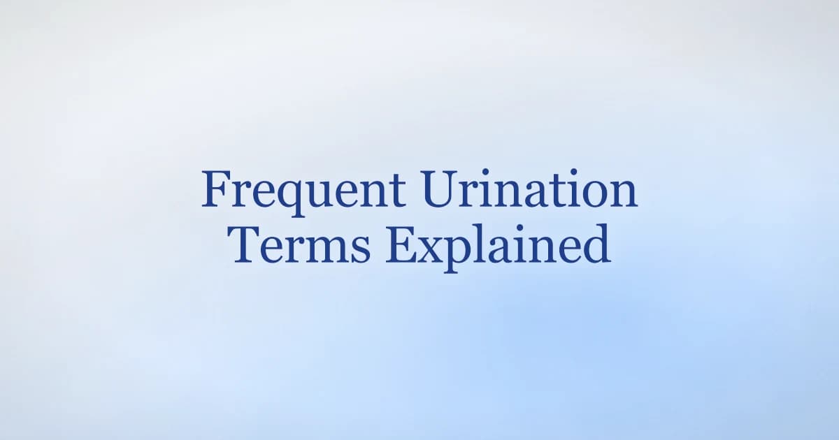 Medical terms for frequent urination — frequency, polyuria, nocturia, and LUTS explained