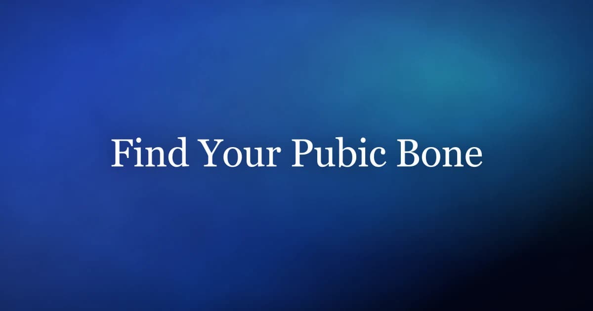 Guide to locating the pubic bone as a pelvic floor landmark