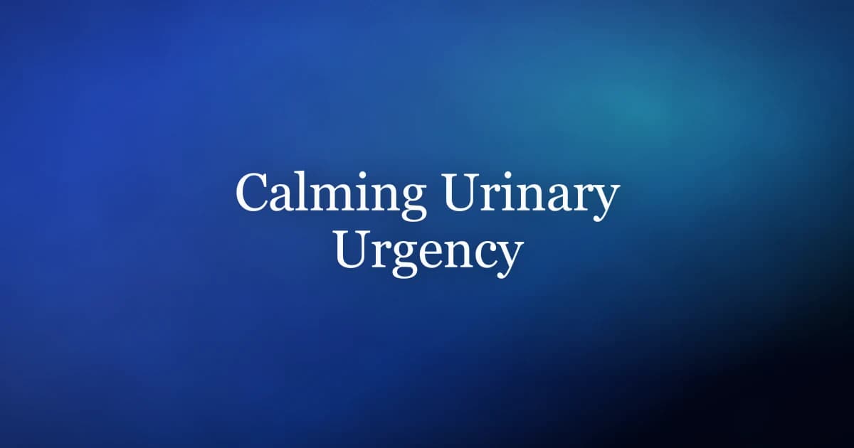 Urinary Urgency in Men: Causes and How to Calm It