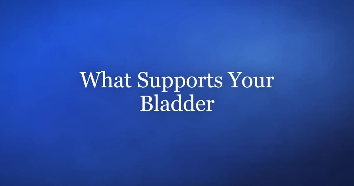 Bladder support anatomy: the pelvic floor muscles, fascia and bladder neck that hold the bladder in position