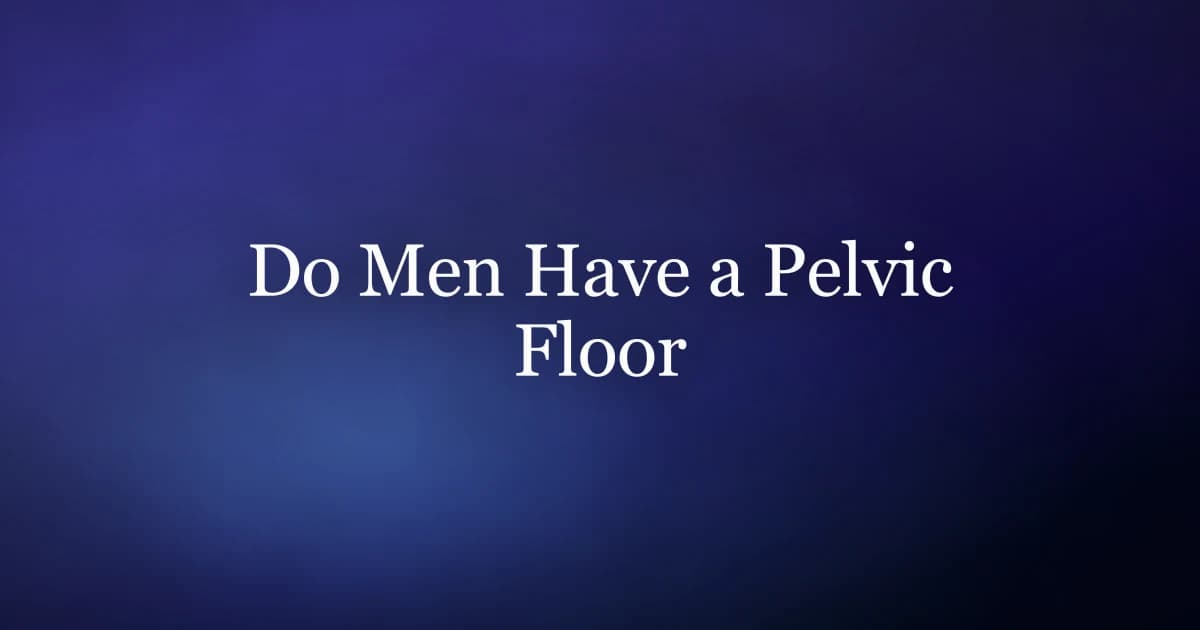 Do men have a pelvic floor — male pelvic floor anatomy and what it controls