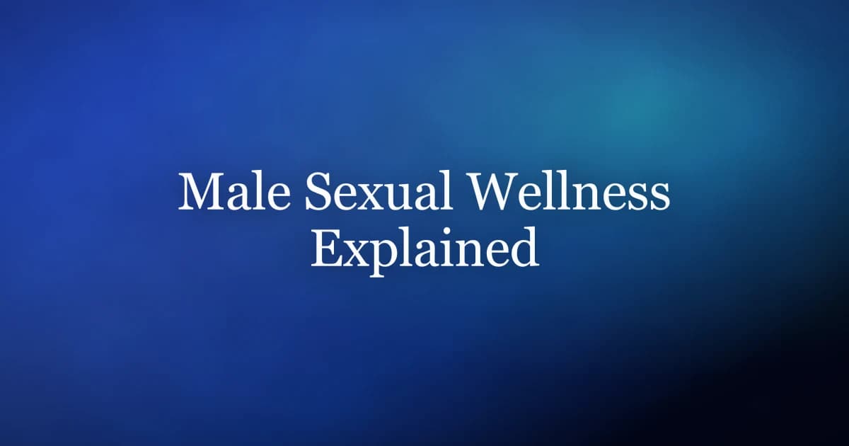 Male sexual wellness — the four systems that determine erection quality, control, and drive