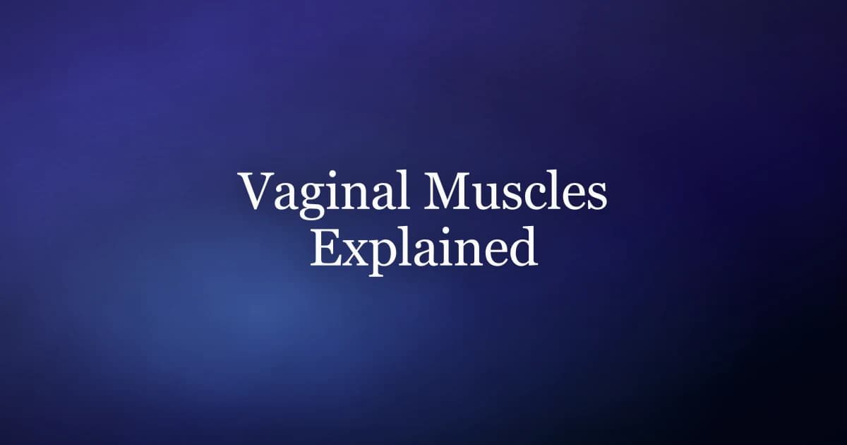 Vaginal muscles and the pelvic floor explained