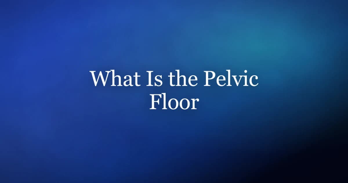 Illustration of the male pelvic floor supporting the bladder and controlling erection and core stability