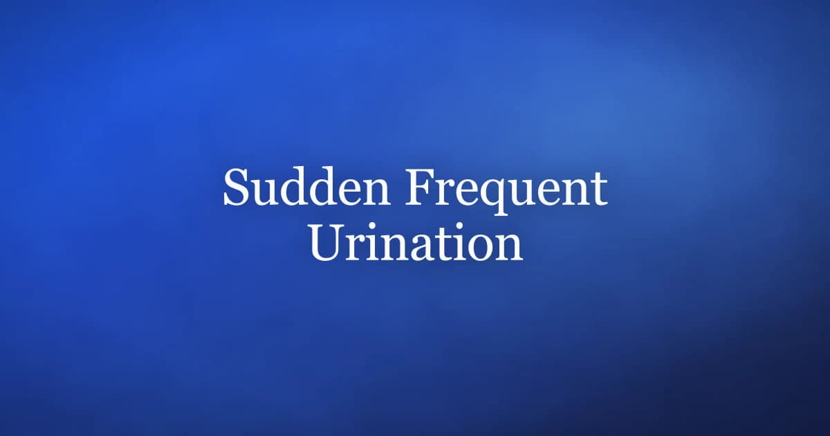 Why am I peeing so much all of a sudden — common causes in men and how to regain bladder control