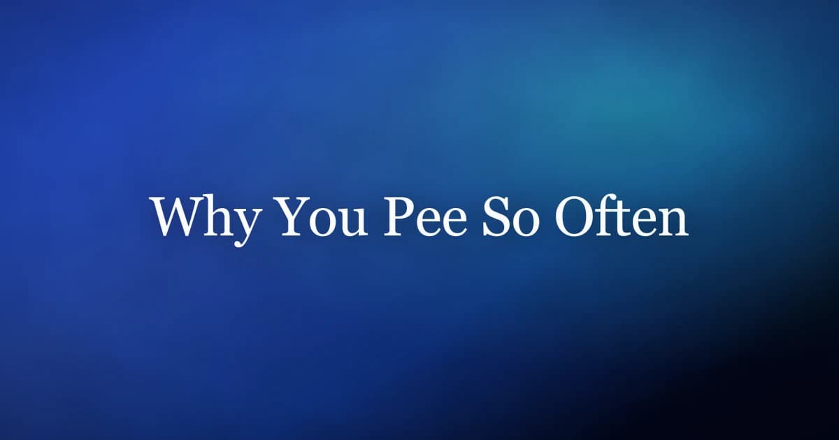 Why do I need to pee so often — causes of frequent urination in men and what reduces it