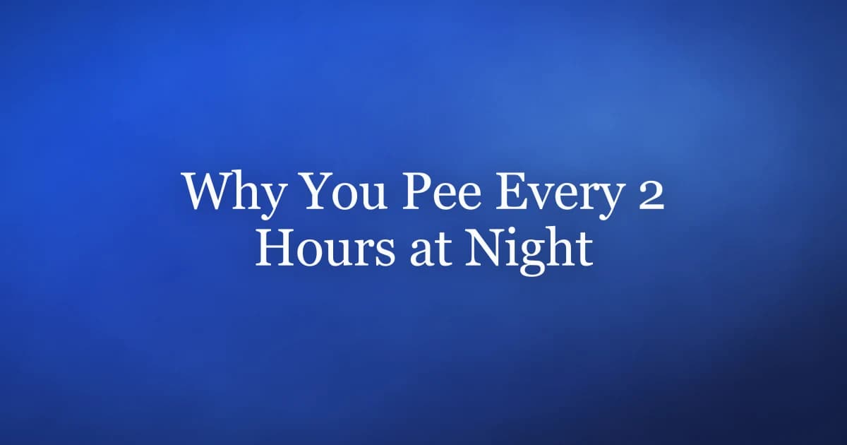 Why do I pee every 2 hours at night — the four main causes of nocturia in men