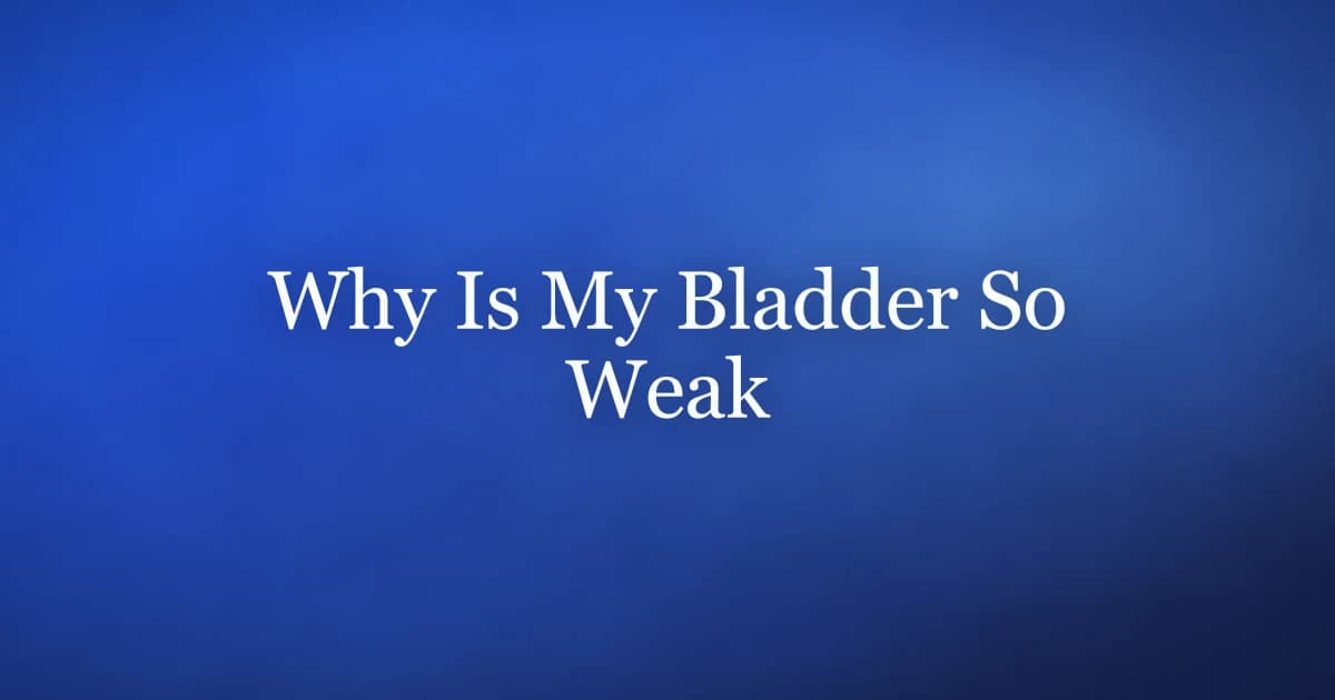 Why is my bladder so weak in men — pelvic floor and detrusor causes of poor bladder control